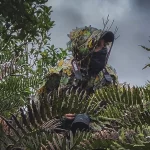 Jaime Flores Mieres | Fotografía